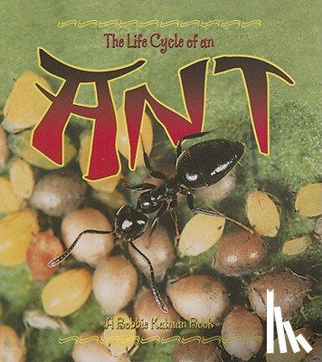 Dyer, Hadley - The Life Cycle of the Ant