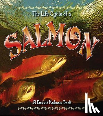 MacAuley, Kelley - The Life Cycle of the Salmon