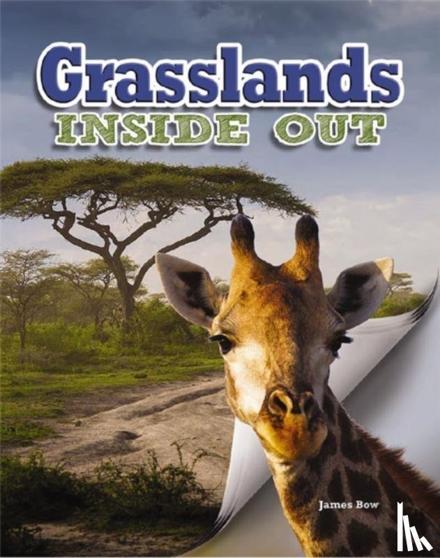 Bow, James - Grasslands