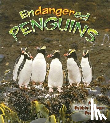 Johnson, Robin - Endangered Penguins