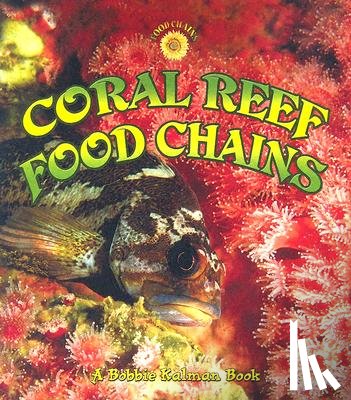 MacAuley, Kelley - Coral Reef Food Chains