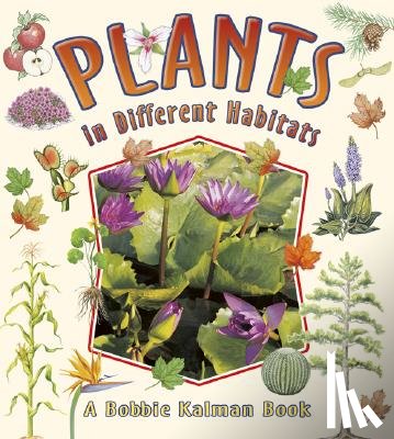 Sjonger, Rebecca - Plants in Different Habitats