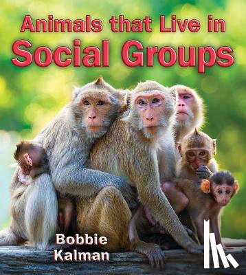 Kalman, Bobbie - Animals that Live in Social Groups