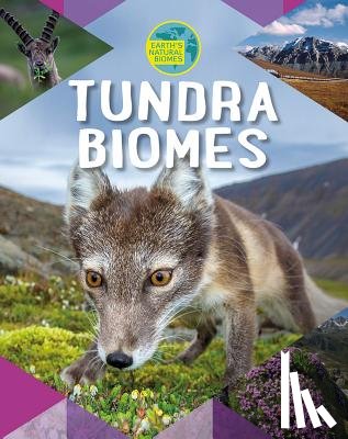 Spilsbury, Louise A. - Tundra Biomes