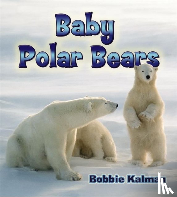Kalman, Bobbie - Baby Polar Bears