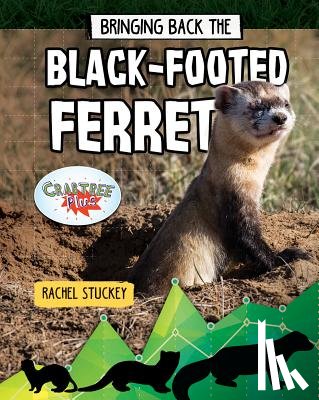 Stuckey, Rachel - Bringing Back the Black-Footed Ferret