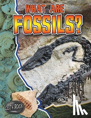 Natalie Hyde - What Are Fossils? - Lets Rock