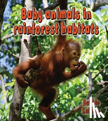 Kalman, Bobbie - Baby Animals in Rainforest Habitats