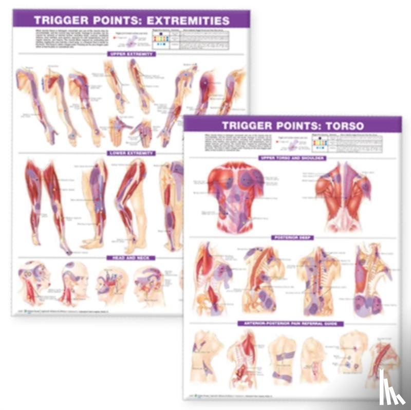 Anatomical Chart Company - Trigger Point Chart Set: Torso & Extremities Paper