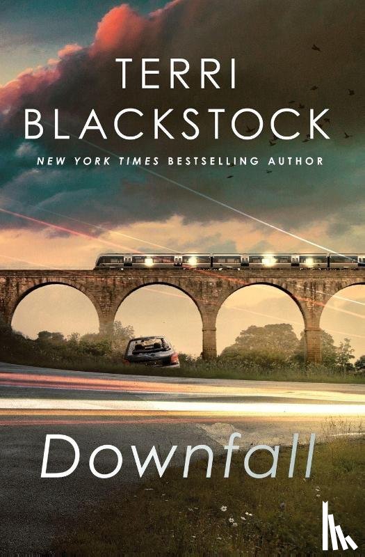 Blackstock, Terri - Downfall