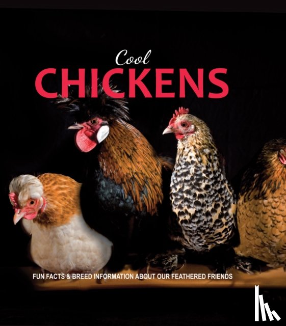 Fern Collins - Cool Chickens