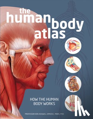 National Geographic - The Human Body Atlas: How the Human Body Works