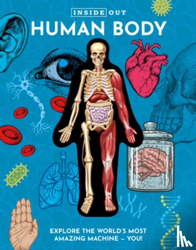 Columbo, Luann - Inside Out Human Body
