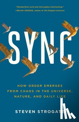 Steven H. Strogatz - Sync