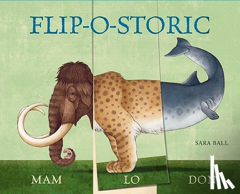  - Flip-o-storic