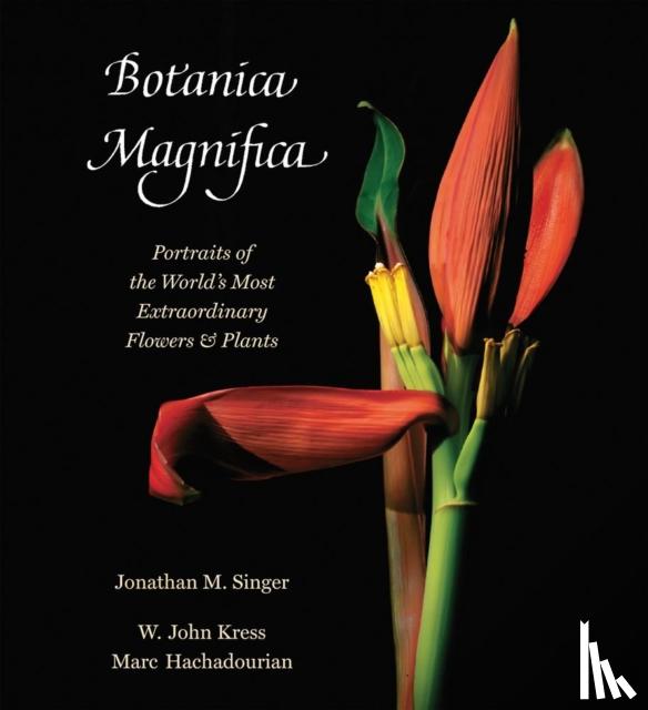 Singer, Jonathan - Botanica Magnifica