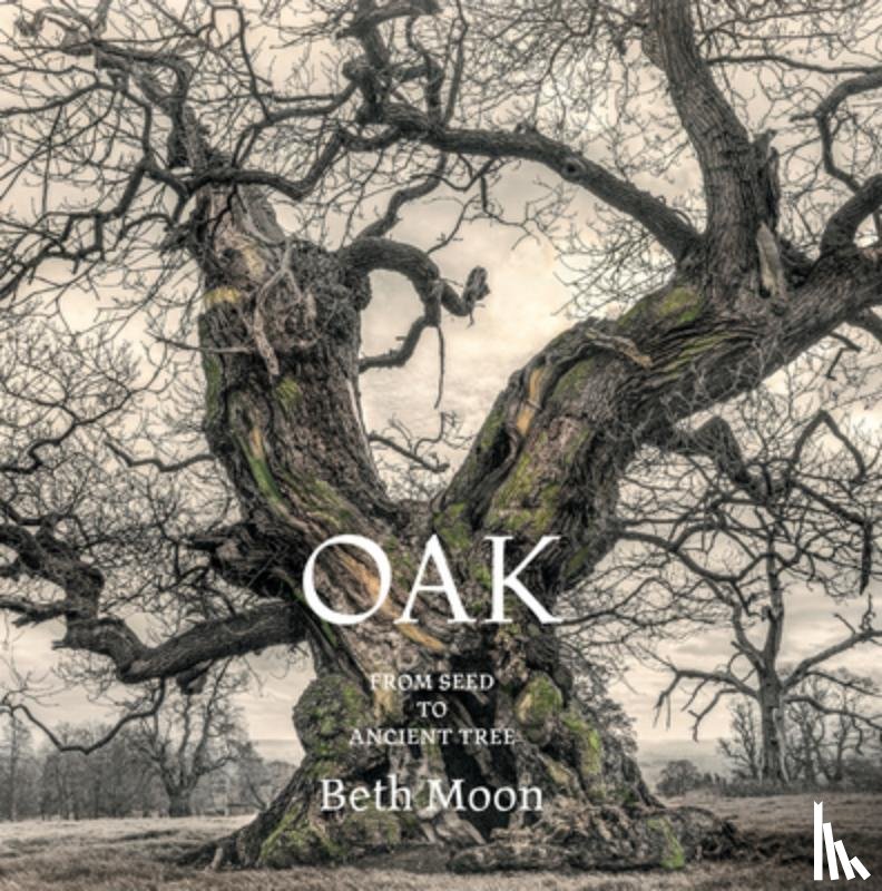 Moon, Beth - Oak