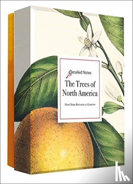  - The Trees of North America - Detailed Notecard Set