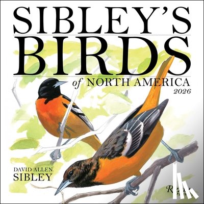 Sibley, David Allen - Sibley's Birds of North America 2026 Wall Calendar
