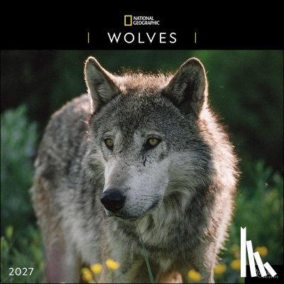 National Geographic - National Geographic: Wolves 2027 Wall Calendar
