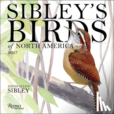 Sibley, David Allen - Sibley's Birds of America 2027 Wall Calendar