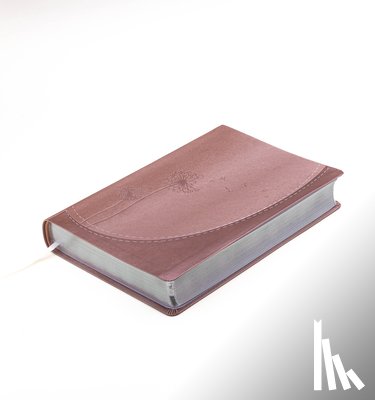 Editorial Unilit - SPA-SANTA BIBLIA DE PROMESAS R