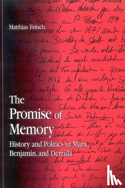Fritsch, Matthias - The Promise of Memory