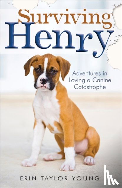 Young, Erin Taylor - Surviving Henry – Adventures in Loving a Canine Catastrophe