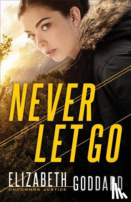 Goddard, Elizabeth - Never Let Go