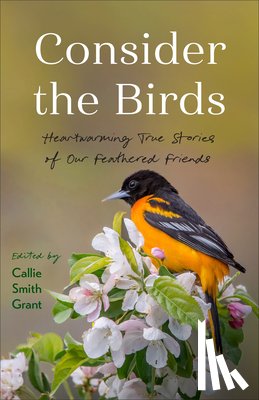  - Consider the Birds