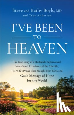 Boyls, Steve, Boyls, Kathy, Anderson, Troy - I've Been to Heaven