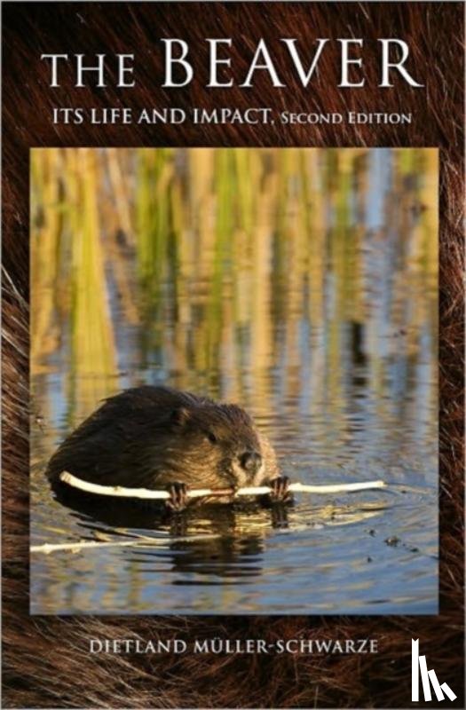 Muller-Schwarze, Dietland - The Beaver