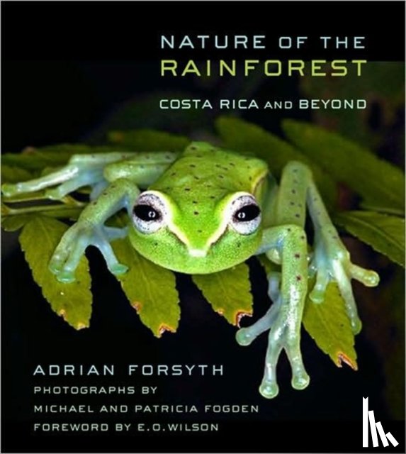 Forsyth, Adrian - Nature of the Rainforest