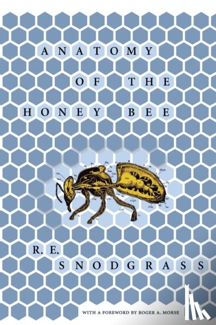 Snodgrass, Robert E. - Anatomy of the Honey Bee