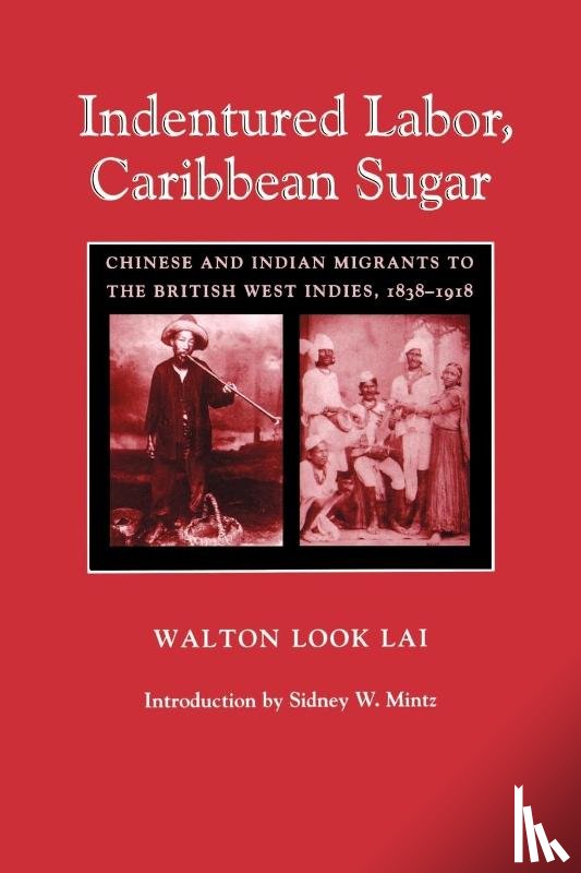 Lai, Walton Look - Indentured Labor, Caribbean Sugar