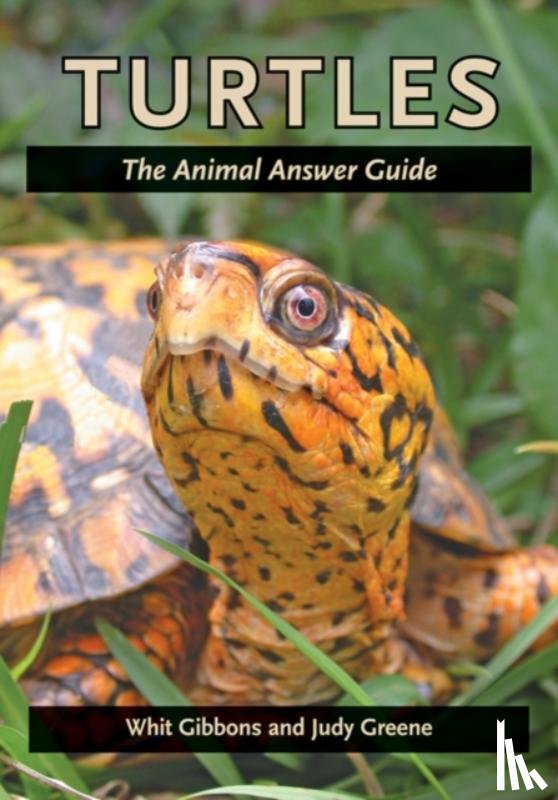 Gibbons, Whit (University of Georgia), Greene, Judy - Turtles