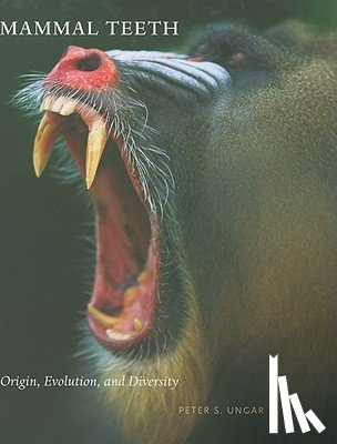 Ungar, Peter S. (Professor of Anthropology - Mammal Teeth