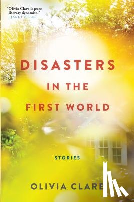Clare, Olivia - Disasters in the First World: Stories