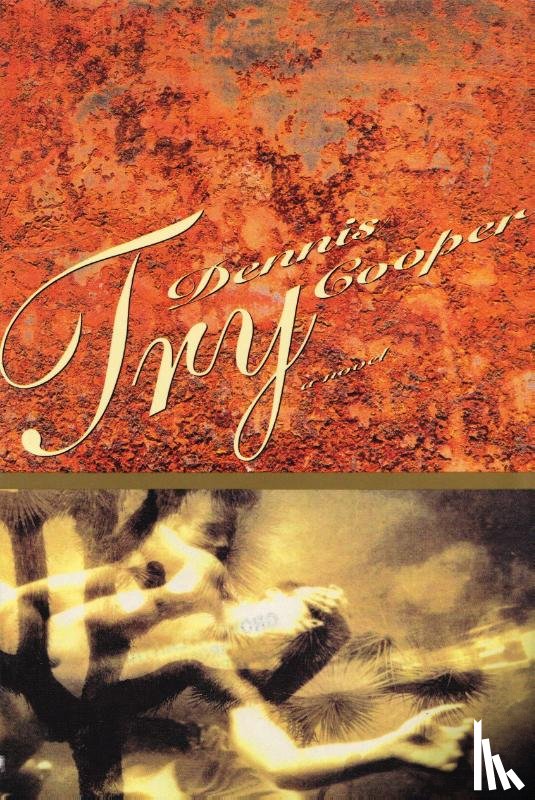 Cooper, Dennis - Cooper, D: Try