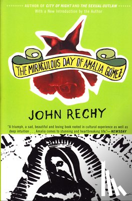 Rechy, John - The Miraculous Day of Amalia Gómez
