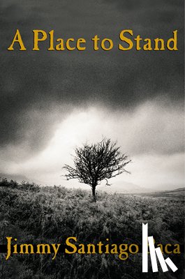 Baca, Jimmy Santiago - A Place to Stand