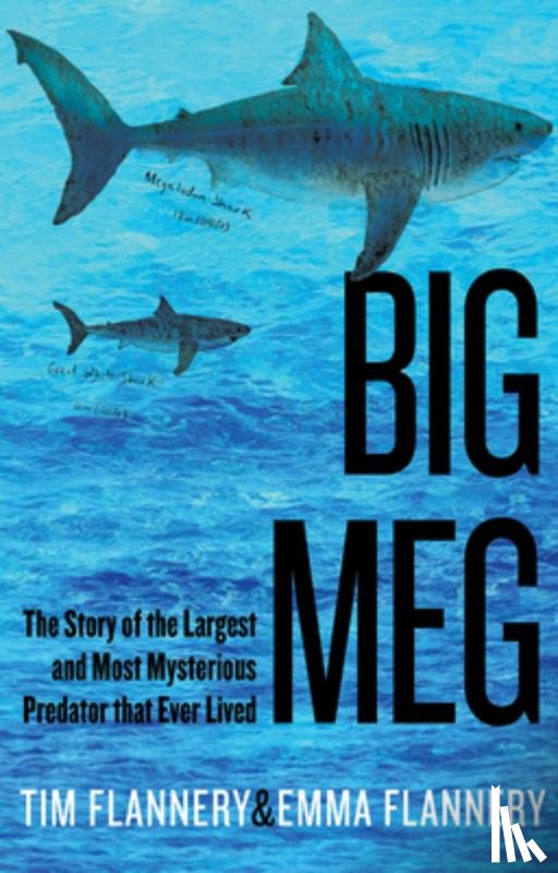 Flannery, Tim - Big Meg: The Story of the Largest and Most Mysterious Predator That Ever Lived