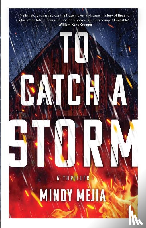 Mejia, Mindy - To Catch a Storm