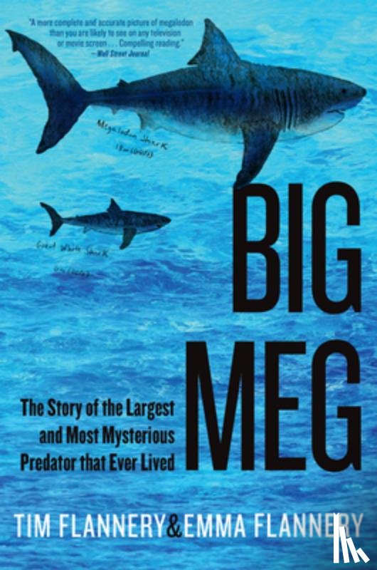 Flannery, Tim - Big Meg: The Story of the Largest and Most Mysterious Predator That Ever Lived