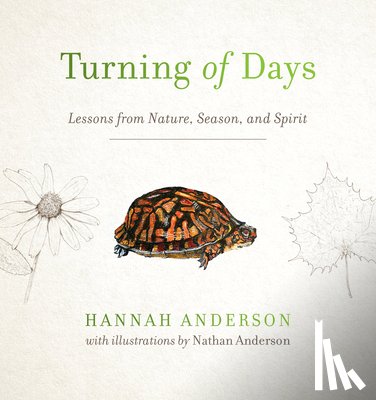 Anderson, Hannah - TURNING OF DAYS