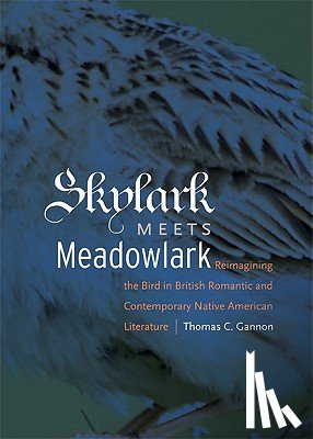 Gannon, Thomas C. - Skylark Meets Meadowlark