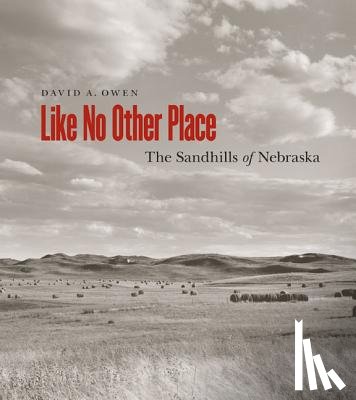Owen, David - Like No Other Place