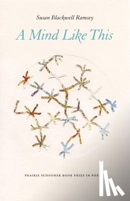 Ramsey, Susan Blackwell - A Mind Like This