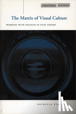 Pisters, Patricia - The Matrix of Visual Culture