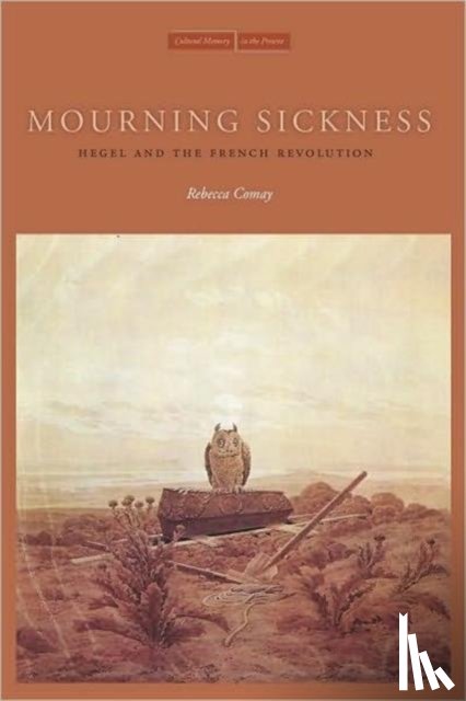 Comay, Rebecca - Mourning Sickness